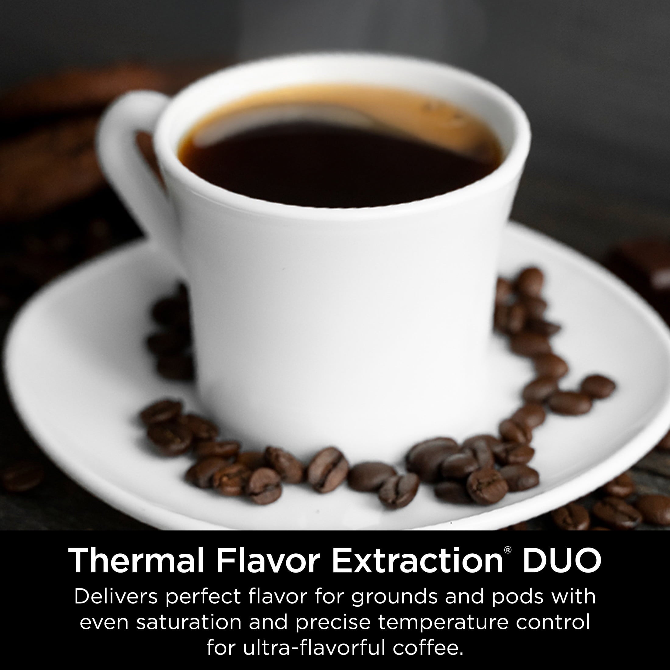 Ninja DualBrew Grounds & Pods Hot & Iced Coffee Maker with Rapid Cold Brew